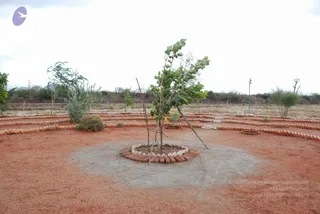 July 14 2009