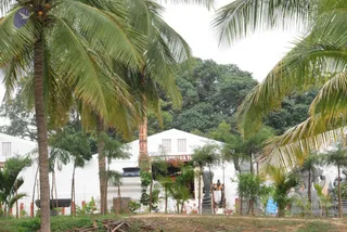 July 08 2010