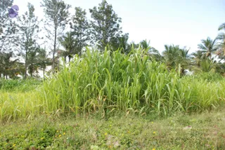 August 08 2010