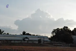 November 20 2008