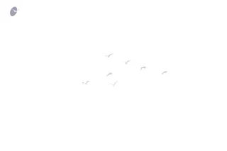 January 03 2016