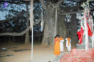 February 25 2007