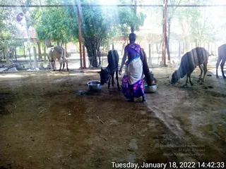 January 18 2022