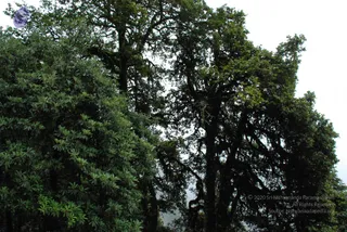 July 07 2008