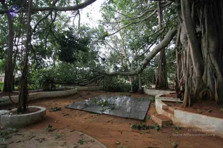 June 05 2010