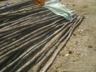 September 2006 - Sindhanur flood relief
