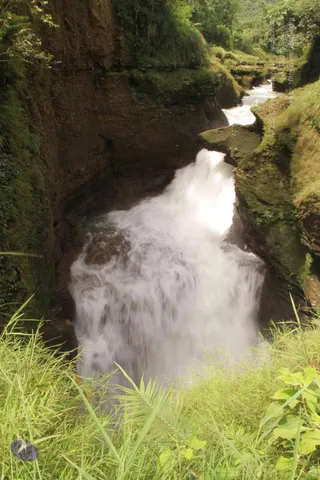20120730 Photo 1079 1fMyZriVrox kIENsbjT 73hZvjwOzoNn.JPG