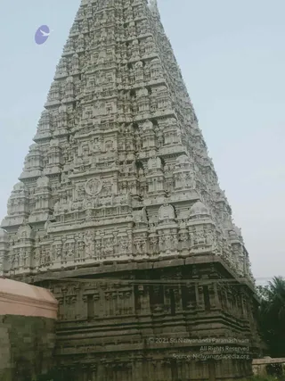 March 28 2022