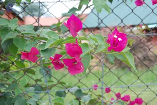 July 08 2010