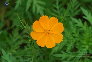 August 05 2010