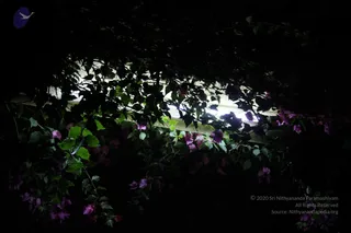 September 04 2011