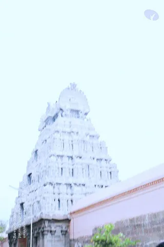 20060821 Photo 83 1YDePradVXGSczVpylvv9UQJUfUYTe9Si.jpg