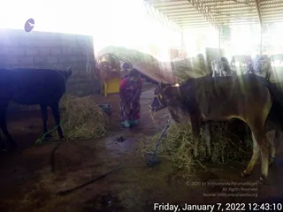 January 07 2022