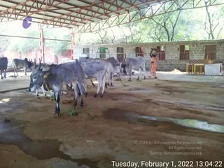 February 01 2022