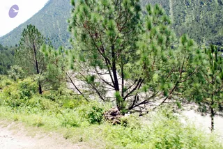 July 01 2008