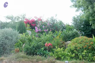 July 07 2010