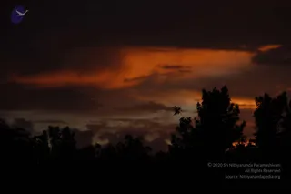 August 10 2011
