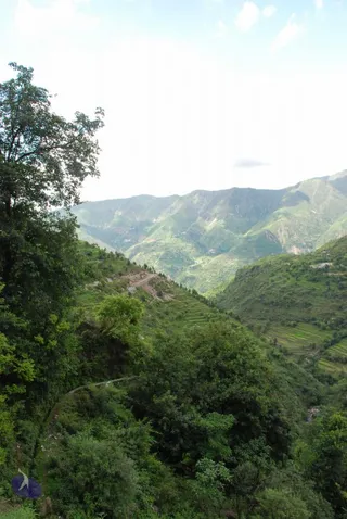 20080629 Photo 1299 1HoC0fLGQKDF3o0vRO9ynpsSaQu7Vprl1.JPG
