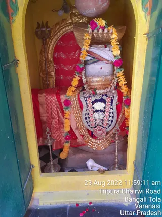Photo 8283378
