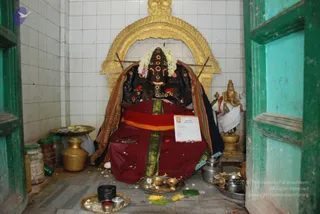 August 08 2009
