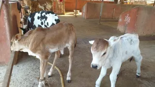 Jan 22 2023 sripuram