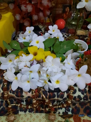 KAILASA SAN FERNANDO, TRINIDAD & TOBAGO on 6/20/2022