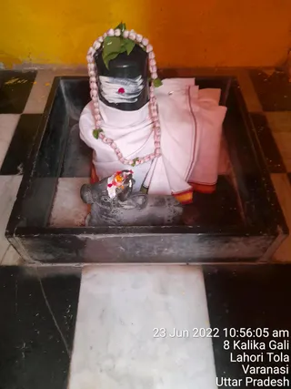 Photo 8283439