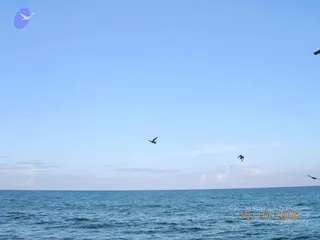 October 15 2006