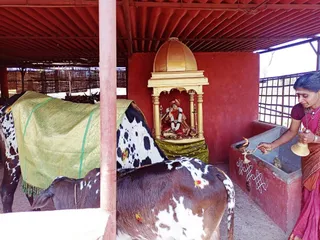 Jan 31 2022 sripuram