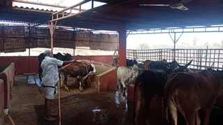 Jan 15 2022 sripuram
