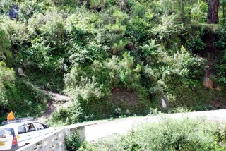 July 01 2008