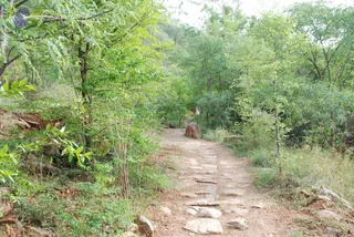 August 03 2008