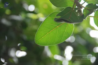September 07 2009