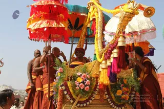 A golden palanquin procession under bright daylight, decorated with yellow marigold garlands, pink and purple flower swags, and tassels in red, pink and purple. Above it, ornate red, orange and white parasols with fringe and gold trim are held aloft by saffron-robed attendants. A figure in an orange turban and red-orange garments sits enthroned on the palanquin, surrounded by saffron-clad men and a woman in a dark blue-green saree with orange border holding a parasol. Crowd members stand at left, and a hilly landscape appears behind.