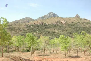 1978 - Tiruvannamalai - InnerGirivala