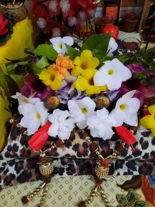Photo 8283472