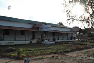 November 20 2008