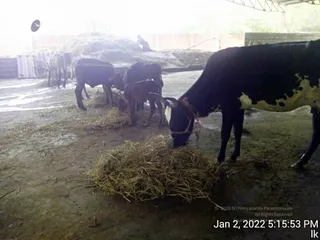 January 02 2022