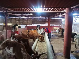 Jan 26 2022 sripuram