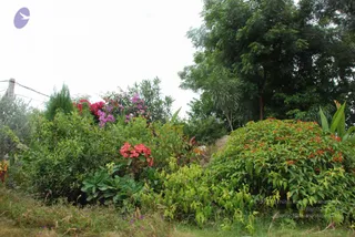 July 08 2010