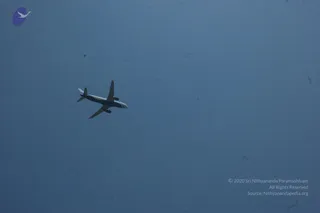March 03 2007