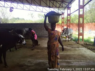 February 01 2022