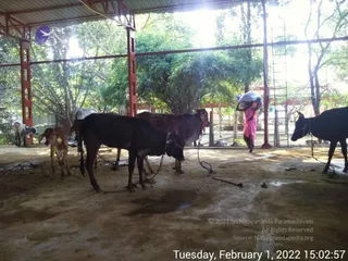 February 01 2022