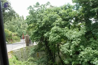 June 29 2008