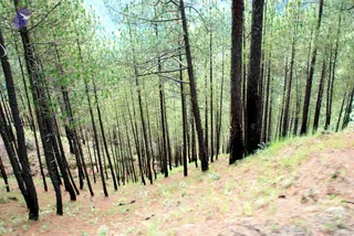 July 01 2008