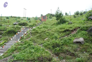 July 08 2008