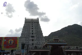 August 01 2008
