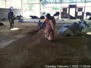 February 01 2022