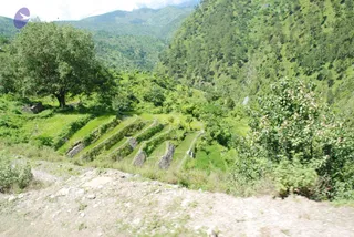 July 02 2008