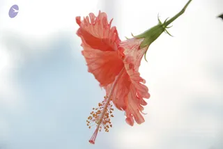 August 09 2010